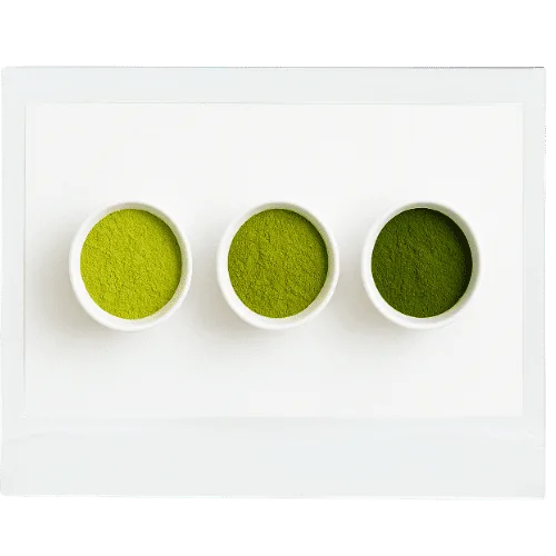 Buy matcha Australia