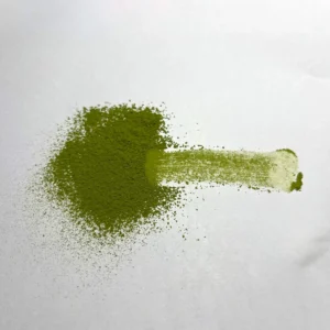 Fine vibrant green organic Japanese ceremonial matcha powder