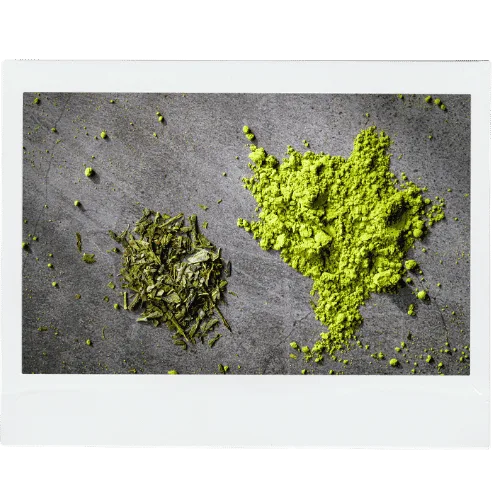 Ceremonial vs culinary matcha — comparing taste, colour, and texture of Japanese matcha grades